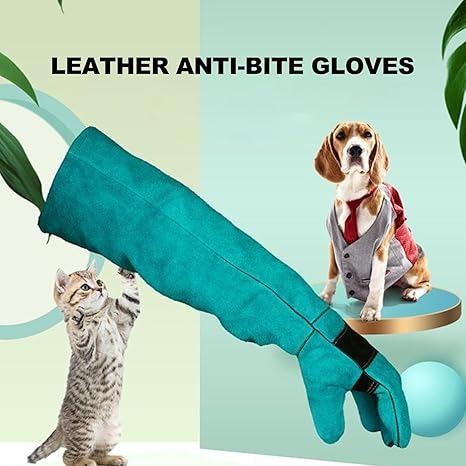 Cat Handling Glove Anti bite and Anti Scratch